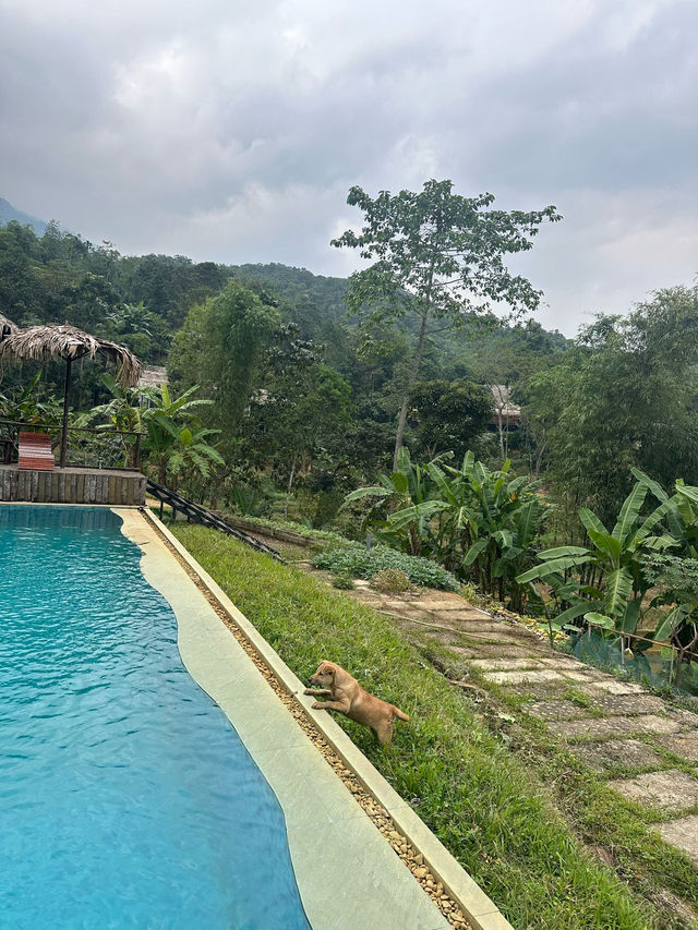 Vietnam’s Peaceful Mountain Secret