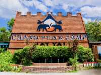 🐘 Chang Puak Elephant Camp Hat Yai: An Ethical Elephant Encounter in Nature 🍃