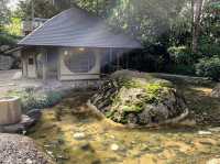 🍃 Zen Vibes Only: A Peaceful Pause at Bukit Tinggi’s Japanese Garden 🏯✨