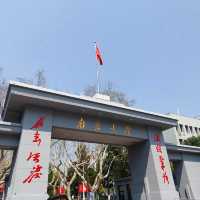 “Blossoms on the Battlements: Nanjing City Wall’s Springtime Legacy” 