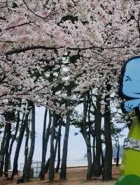 Sangju Eunmorae Beach: A Pristine Sands Paradise in Spring 