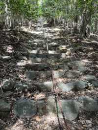 【入道ヶ岳】⛰️ 鈴鹿セブンマウンテン