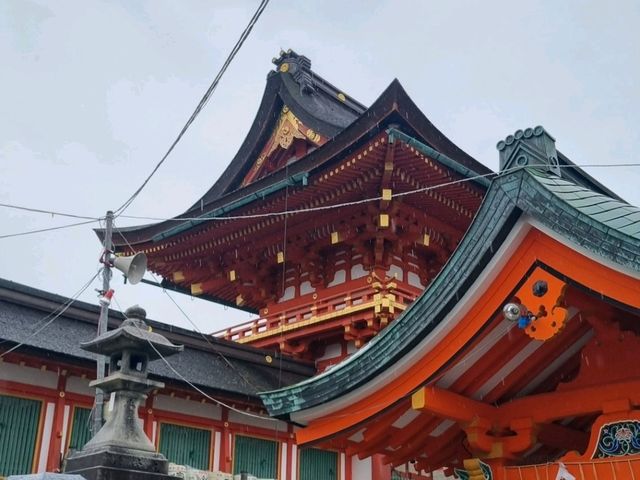 후시미이나리신사 후기 Journey to Fushimi Inari Taisha