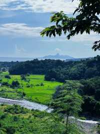 Exploring Flores’ Majestic Rice Fields and the Spider Web Fields