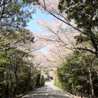 【徳島】一度は泊まりたいホテル