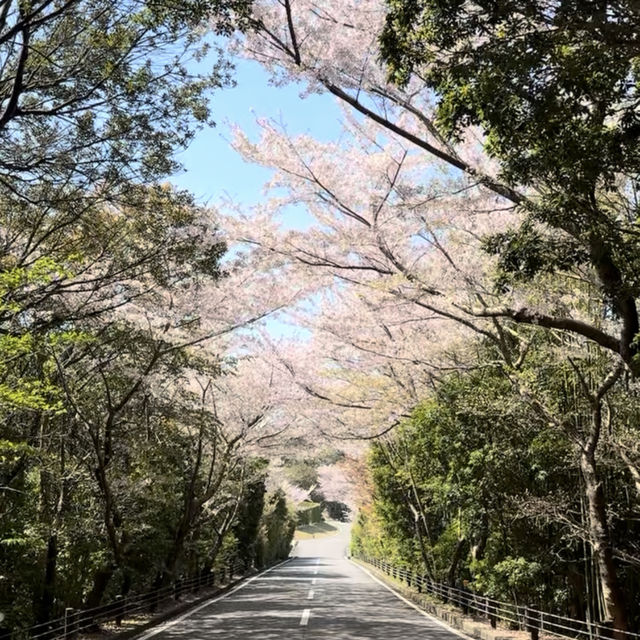 【徳島】一度は泊まりたいホテル
