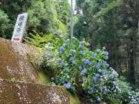 🇯🇵【愛媛県】四国88ケ所霊場第60番札所 石鈇山 福智院 横峰寺(^^)
