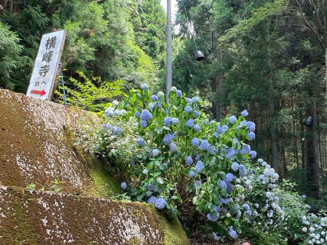 🇯🇵【愛媛県】四国88ケ所霊場第60番札所 石鈇山 福智院 横峰寺(^^)