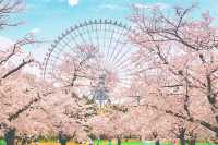 🌸 Expo '70 Park: Osaka's Secret Sakura Wonderland! 🌸