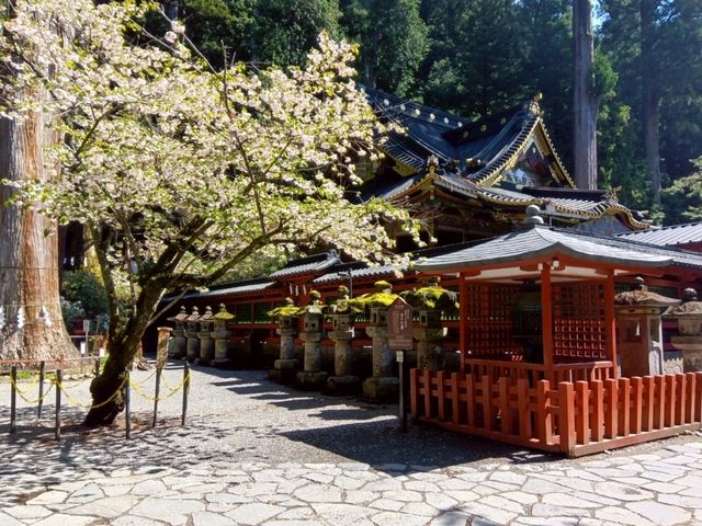 【栃木】日光市にある縁結び等で人気の古社！