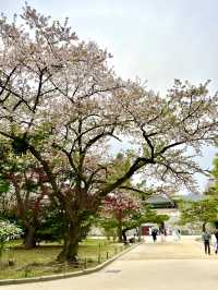 首爾必去之處@景福宮