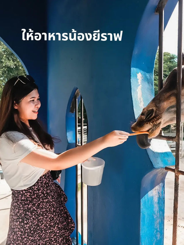 🐫 พาเที่ยวสวนอูฐ ชะอำ สไตล์อินเดียถ่ายรูปสวยมาก!✨