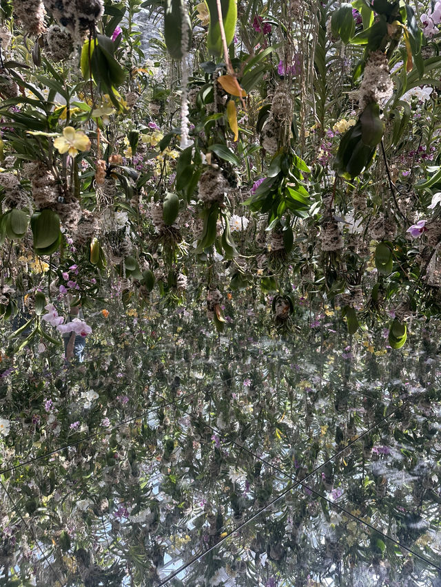 인생샷 명소 ‘도쿄 팀랩 플래닛’ 📸✨