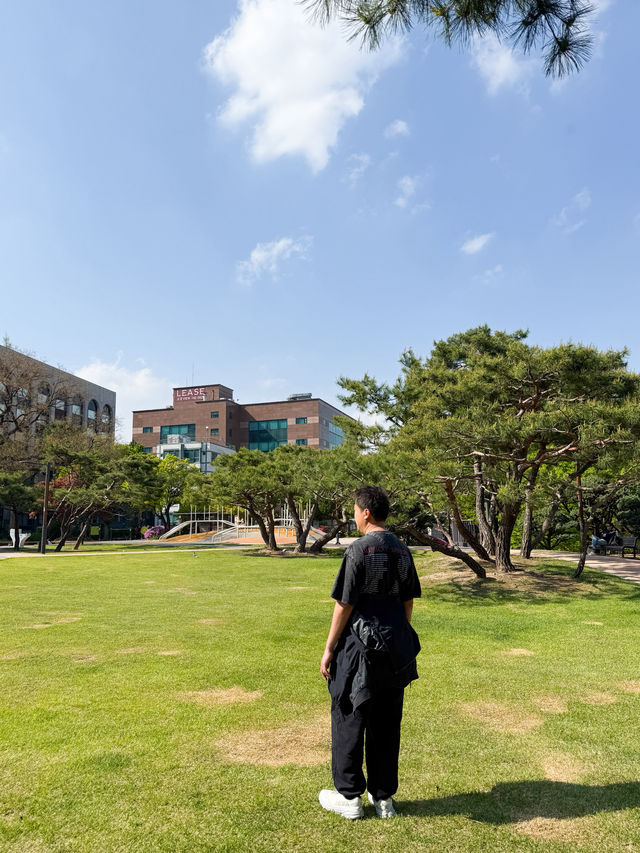 韓國景點🇰🇷寧靜休閑的小公園🌳
