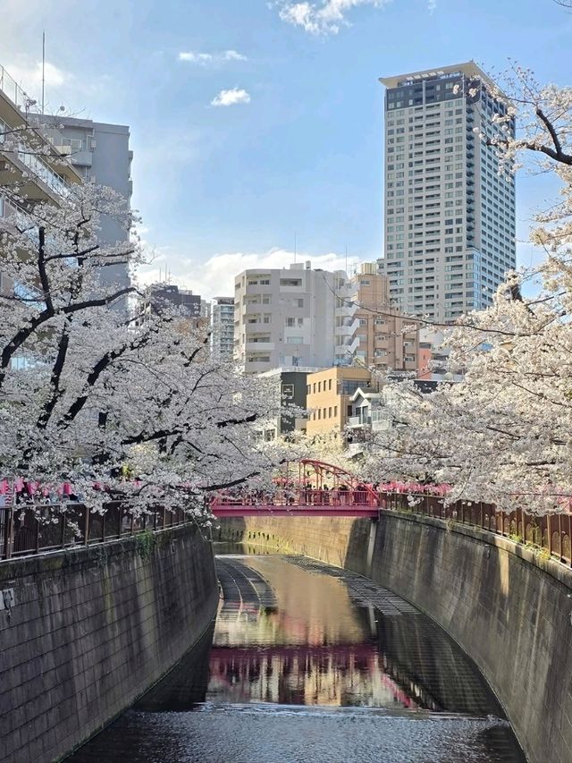 Prettiest Walk Ever