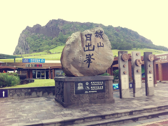 제주에서 꼭 한 번은 걸어봐야 할 힐링 여행 코스 🌿