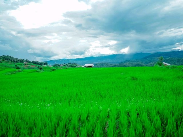 นาขั้นบันไดที่ใหญ่และสวยงามมาก