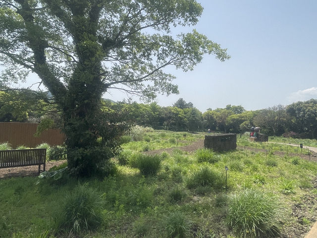 濟州島史努比公園攻略