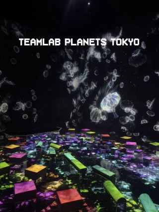 ✨도쿄 핫플레이스! teamLab Planets TOKYO✨