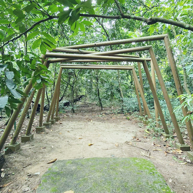 Rustic Retreat: A Day at Coney Island 🇸🇬
