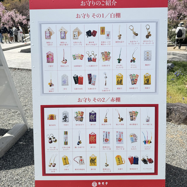 假日勝尾寺-達摩