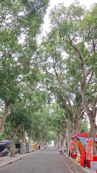 這次來到雲林的 蜜蜂故事館 跟超療癒的 綠色隧道，真的超級放鬆～