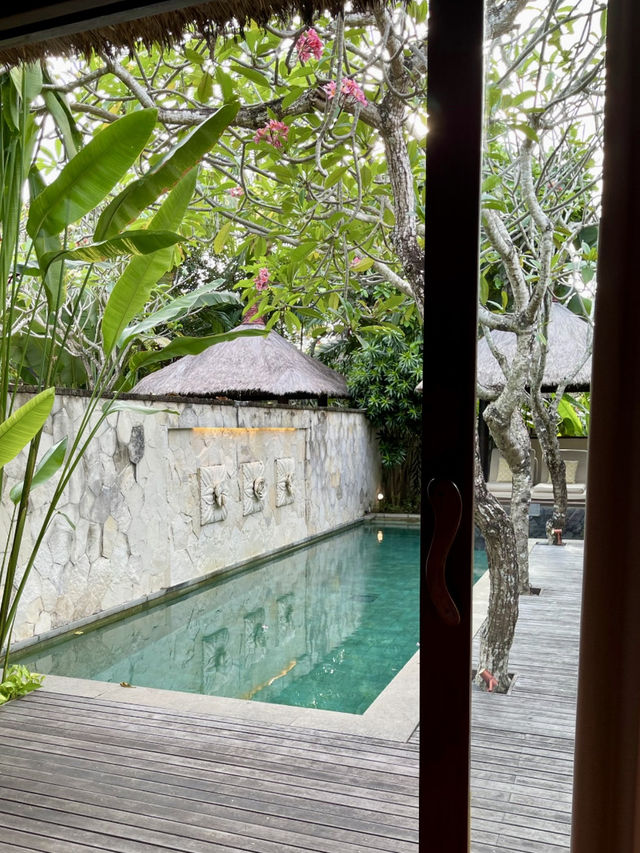 Luxury & Nature in Harmony