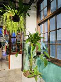 Urban Jungle Meets Pineapple Charm