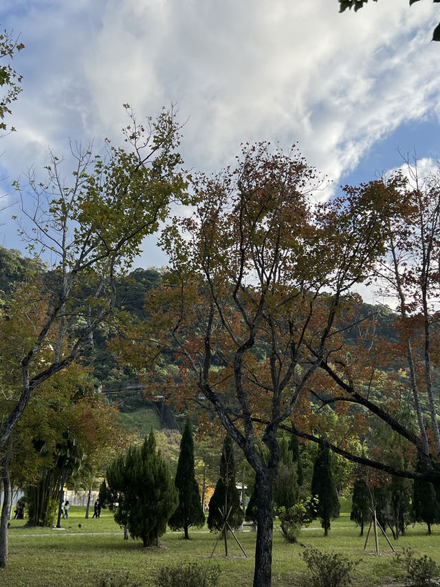 石門水庫｜北台灣四季皆宜的湖光山色與生態樂園 