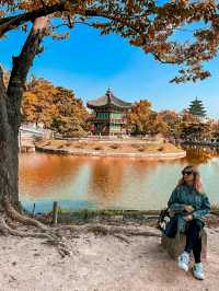 Seoul: Where Tradition and Tech Collide in Perfect Rhythm