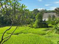 Four Seasons Resort Chiang Mai