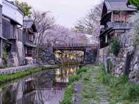 Cherry Blossoms + Old-Timey Canal 