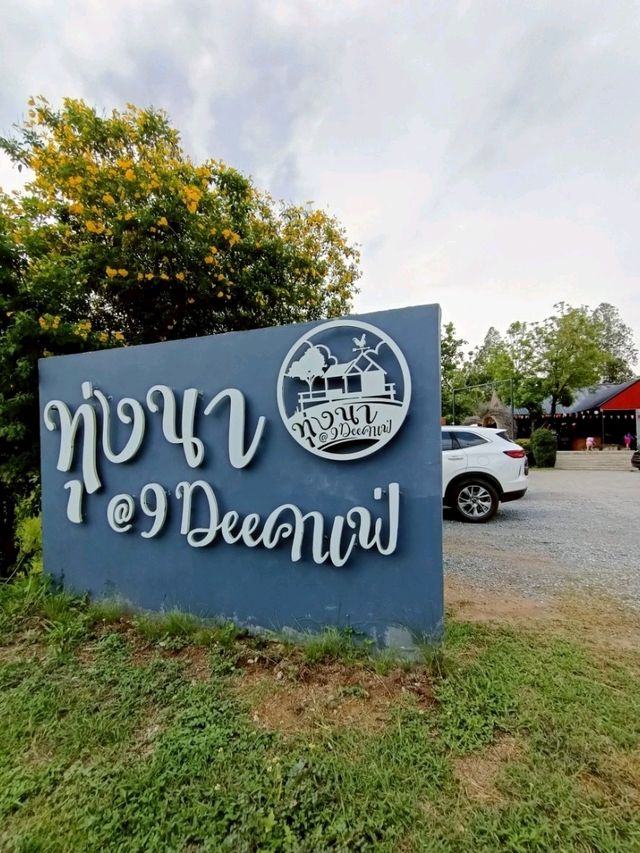 คาเฟ่ฟิวทุ่งนาบรรยากาศดี