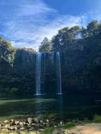 Whangārei – Where Waterfalls and Wilderness Meet