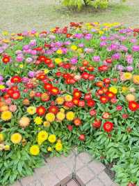 예쁜 풍경을 보며 산책하기 좋은 홍콩의 Fountain Terrace Garden 🌸