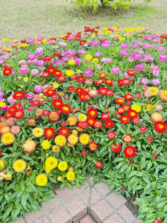 예쁜 풍경을 보며 산책하기 좋은 홍콩의 Fountain Terrace Garden 🌸