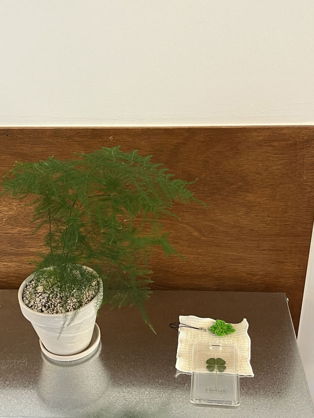 인스타에서 유행하는 키티 쿠키랑 인증샷 찍고싶다면🍪