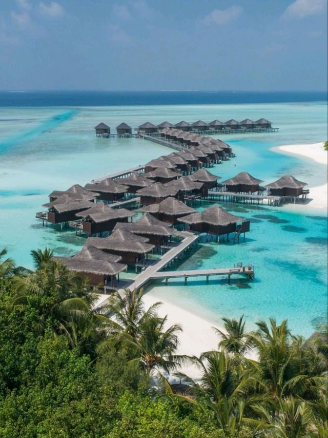 🌴 Anantara Veli Maldives Resort ⛵