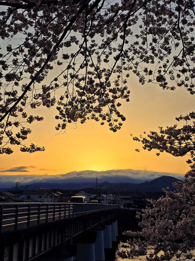 From Kawaguchi to Atami via Shizuoka