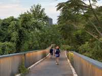 Benchakitti Park: Run, Chill, Unwind