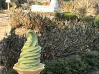 Boseong Tea Plantation – Worth the Journey for These Green Views