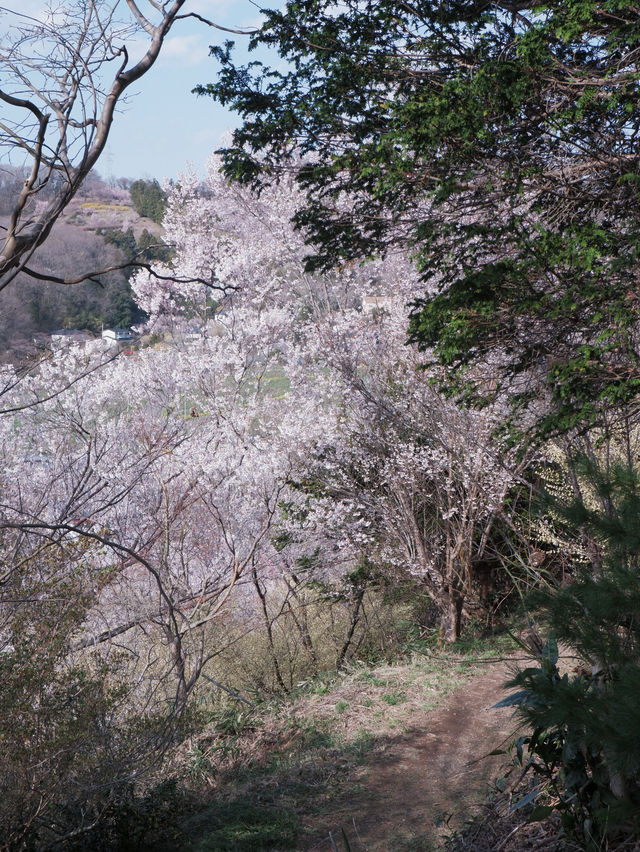 東京巴士遊東北：福島也有桃源鄉 