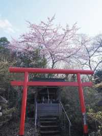 東海道新幹線：大阪去福島只需四小時