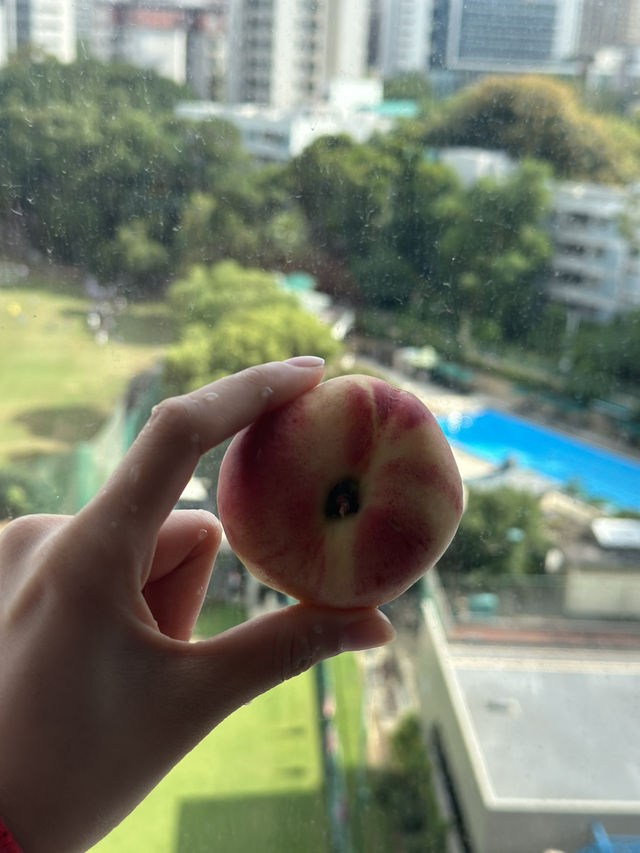 🇭🇰&🇲🇴3박 4일 여행