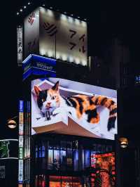 各種絢爛的霓虹燈招牌鋪天蓋地💕新宿歌舞伎町