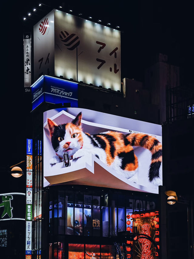 各種絢爛的霓虹燈招牌鋪天蓋地💕新宿歌舞伎町