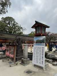 แหล่งท่องเที่ยวฟุกุโอกะ Dazaifu Tenmangu 🇯🇵