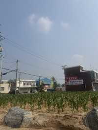 안성에서