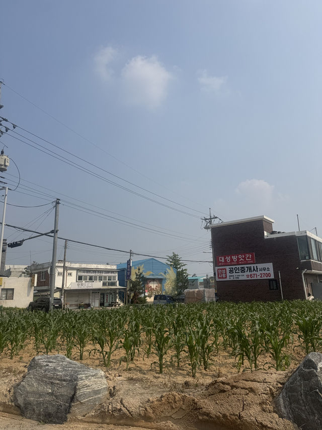 안성에서