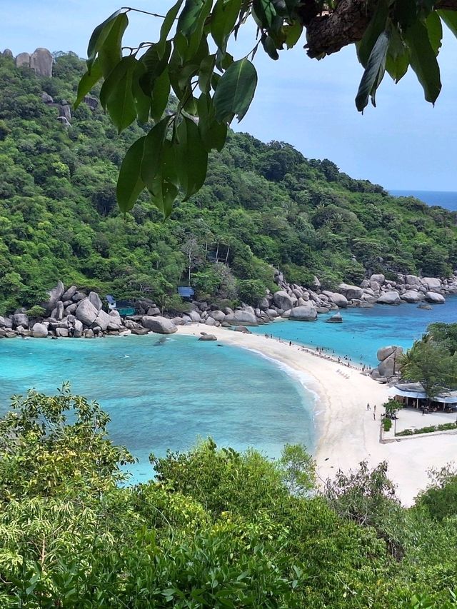 เกาะเต่า🐢 เพชรงามของอ่าวไทย🏝